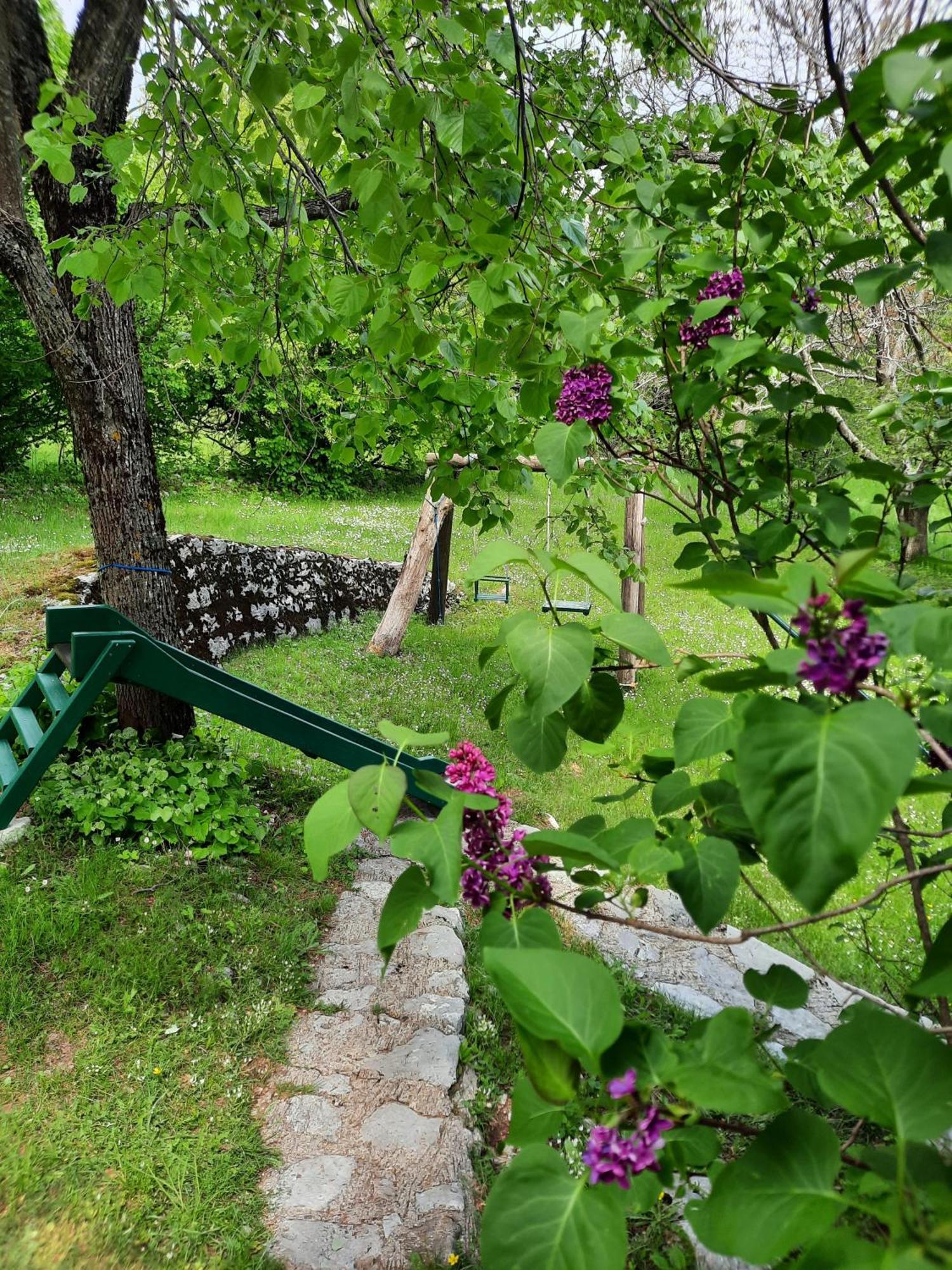 Villa Lovcen4Me Cetinje Exterior foto